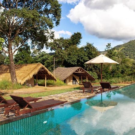 Wild Glamping Gal Oya - Thema Collection Hotel Galgamuwa  Buitenkant foto