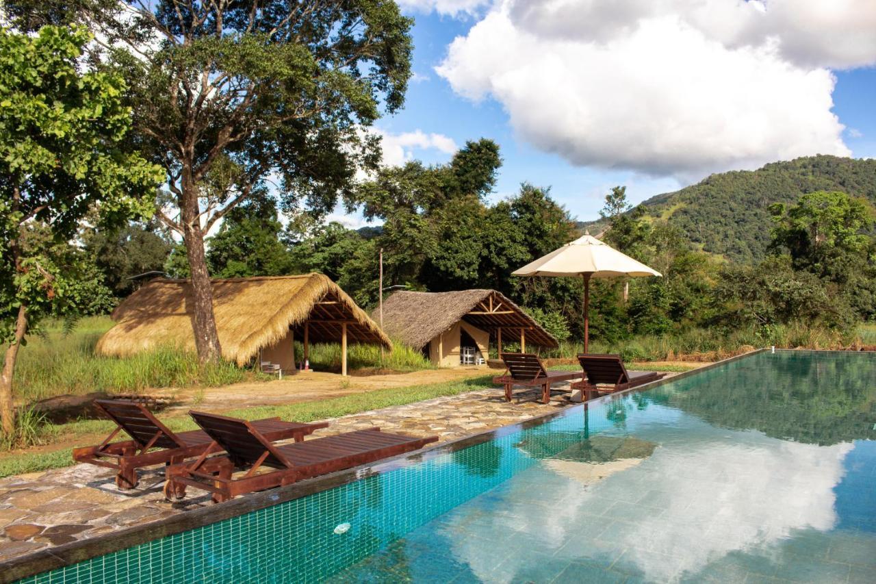 Wild Glamping Gal Oya - Thema Collection Hotel Galgamuwa  Buitenkant foto