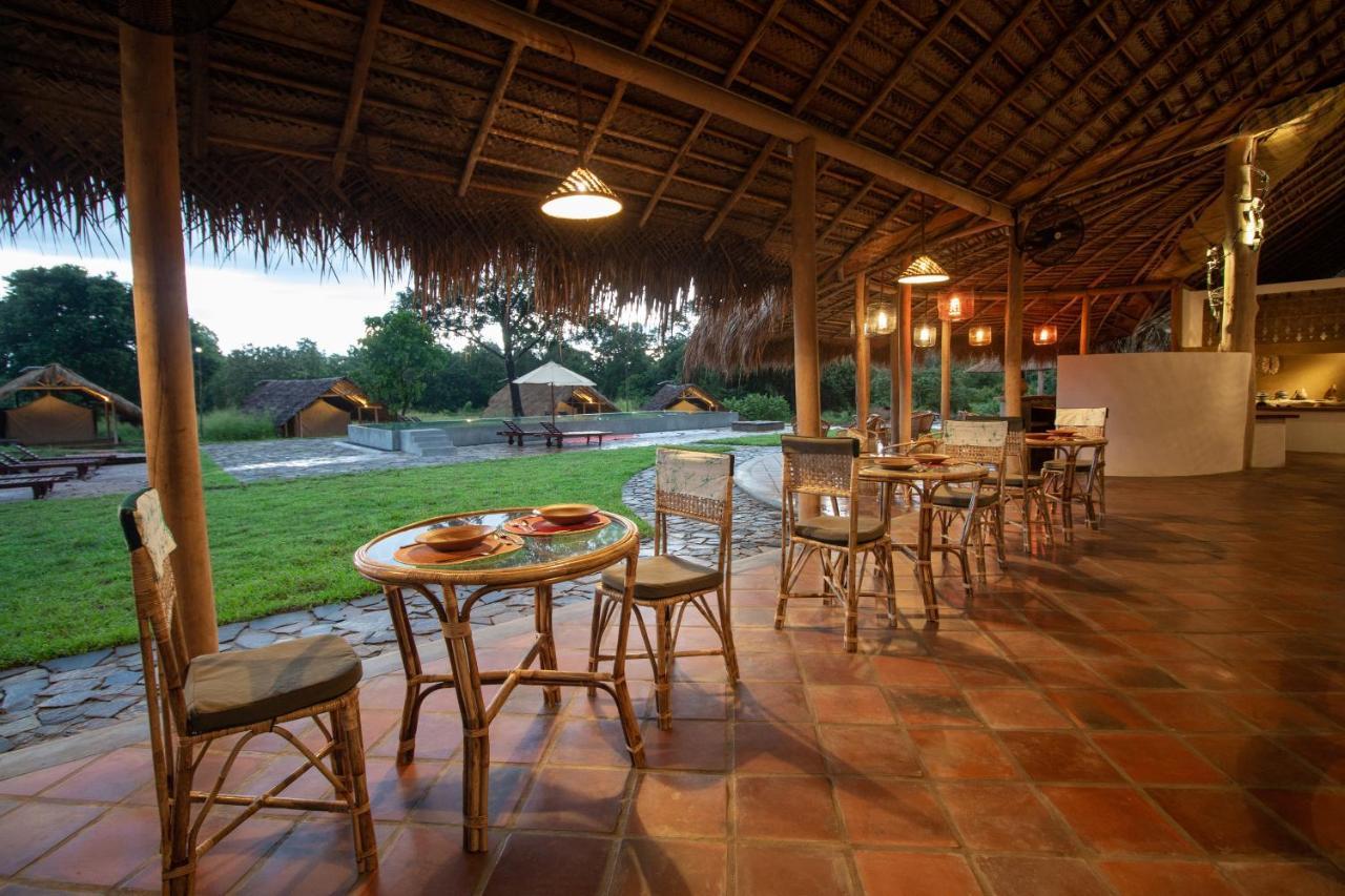 Wild Glamping Gal Oya - Thema Collection Hotel Galgamuwa  Buitenkant foto