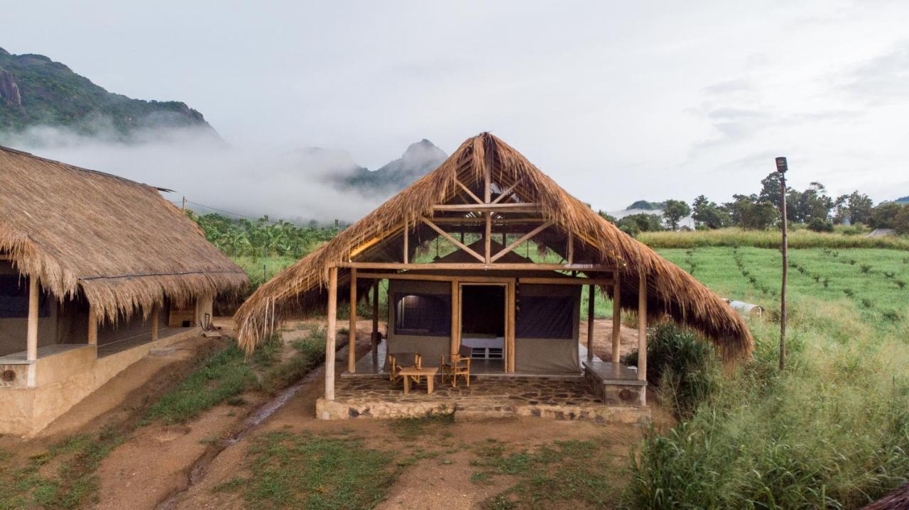 Wild Glamping Gal Oya - Thema Collection Hotel Galgamuwa  Buitenkant foto