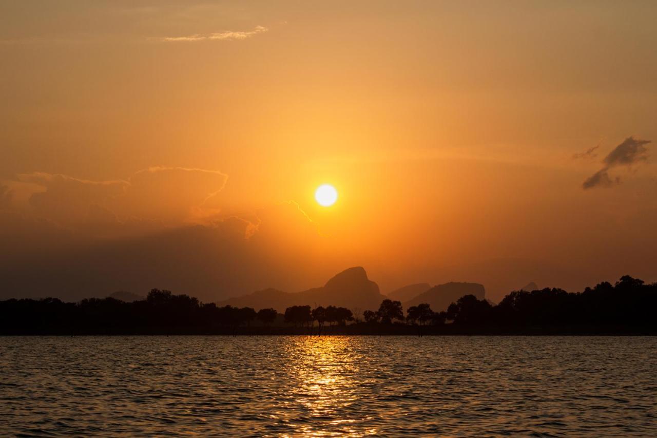 Wild Glamping Gal Oya - Thema Collection Hotel Galgamuwa  Buitenkant foto