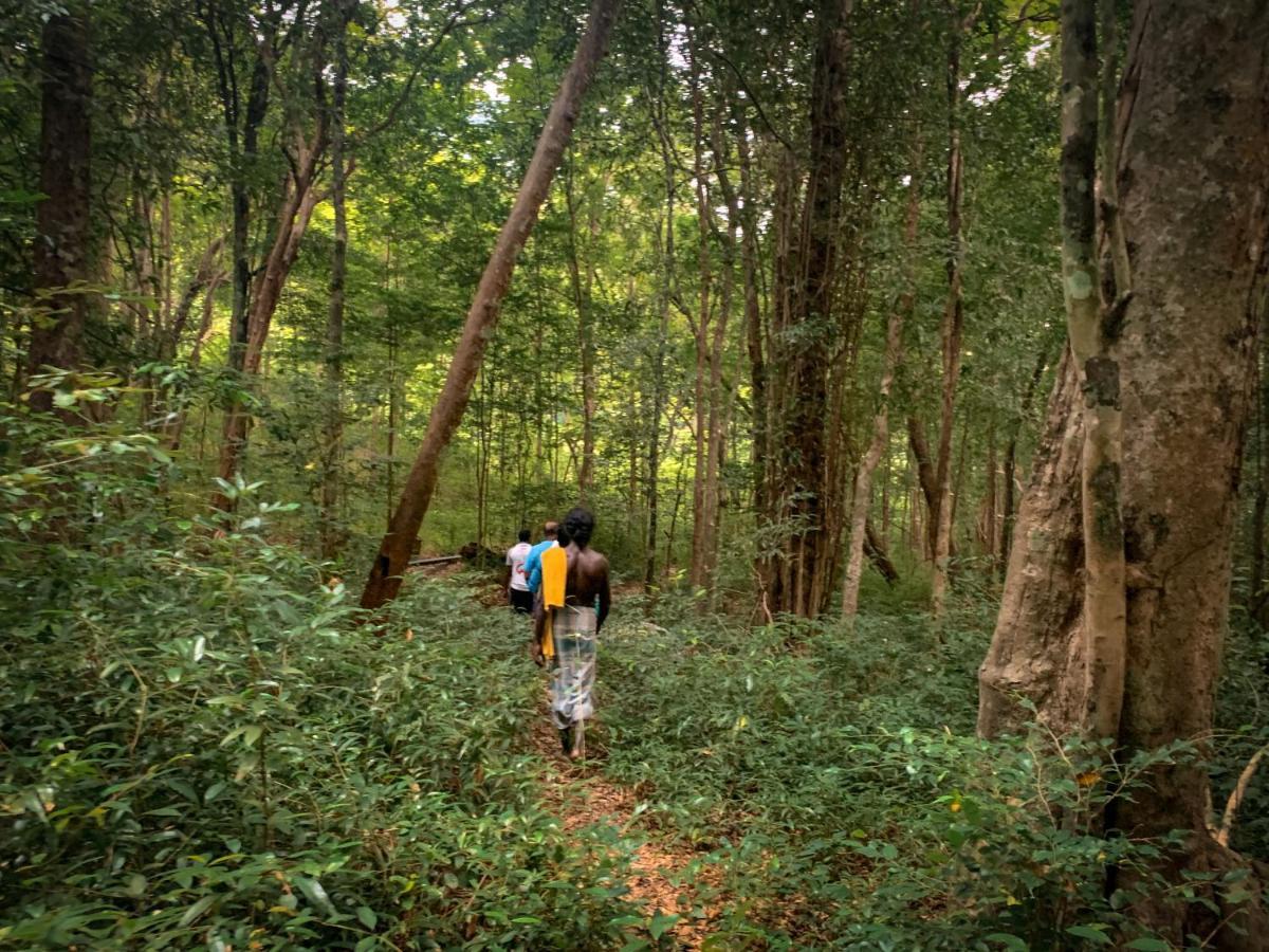 Wild Glamping Gal Oya - Thema Collection Hotel Galgamuwa  Buitenkant foto