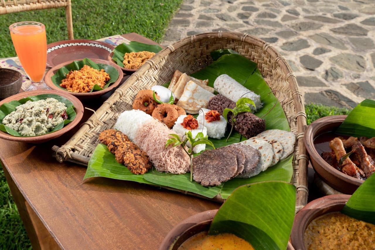 Wild Glamping Gal Oya - Thema Collection Hotel Galgamuwa  Buitenkant foto